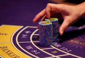 1xbet web
