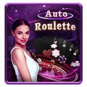 1xbet web